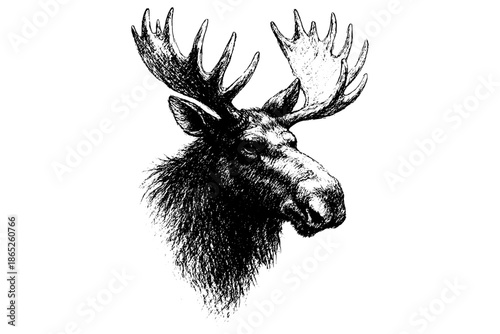 Moose head silhouette,
Forest Wildlife, Outdoor Animal Illustration, Rustic Hunting Art