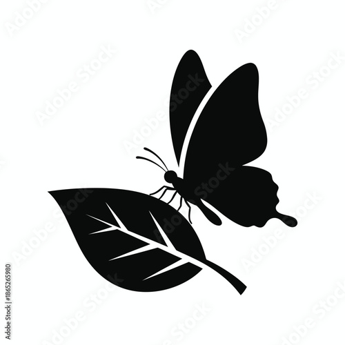 Butterfly resting on leaf