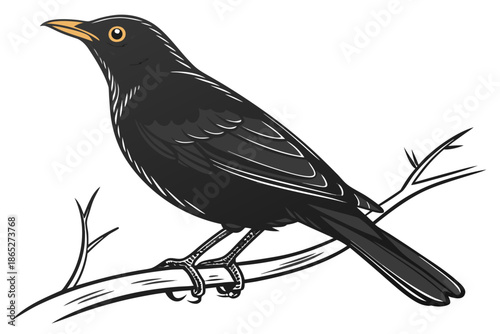 Common Blackbird Perched on a Bare Branch Illustration