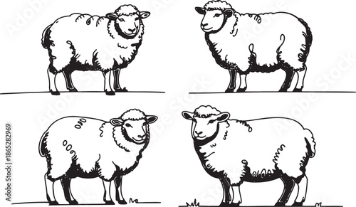 a-delicate-line-art-illustration-depicts_SaiAt-3CTjeLu5ScJcYmSQ_unk53FD-QNeGlqpFiYlDMg_traced