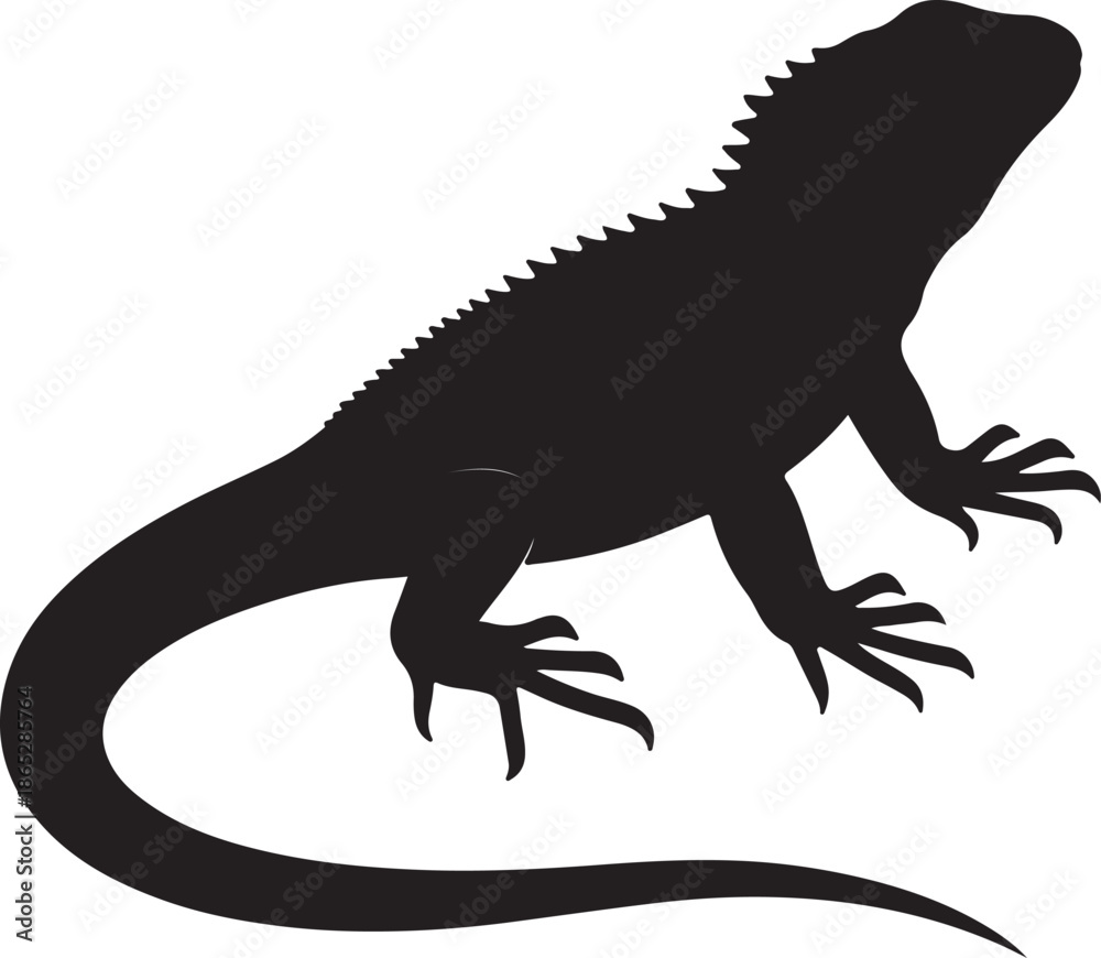 Naklejka premium iguana on a rock