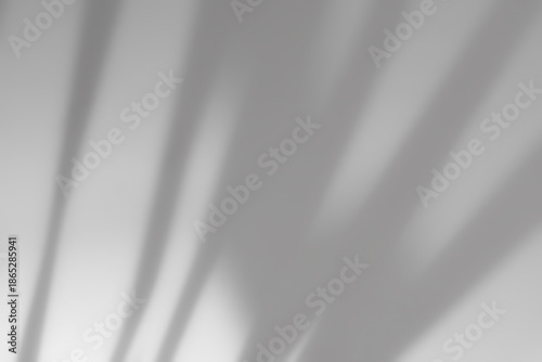 Shadow on white background,Minimal abstract background soft silhouette shadow overlay on wall.Blurry natural light for branding,product display mockup,modern aesthetic design,template,minimal visual 