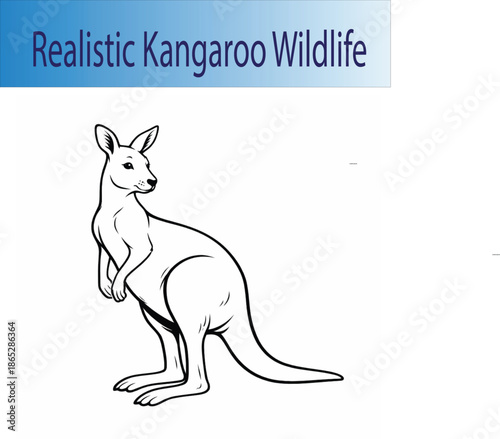 Realistic kangaroo vector illustration in monochrome black and white. Clean line art with natural anatomy and a calm expression, designed in a minimal flat style suitable for educational content, natu