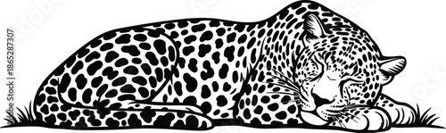 A black and white silhouette of a leopard lying down
