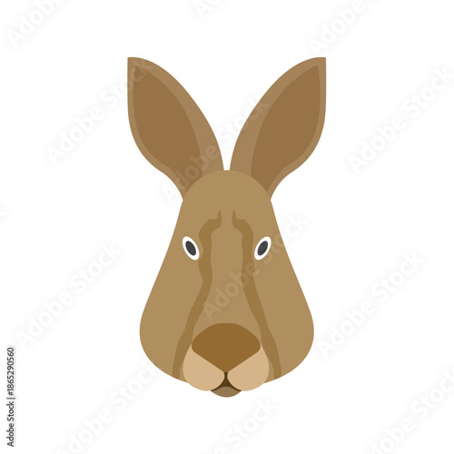 Cute kangaroo head vector illustration, flat cartoon Australian marsupial animal face icon with big ears, simple front view character for kids nursery prints, logos, stickers, apps, web avatars and br
