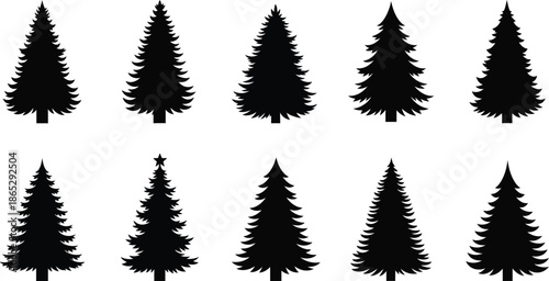 A collection of black spruce tree silhouettes on transparent background