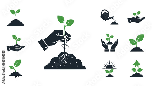 Stages of plant growth depicted with hands soil and watering can icons