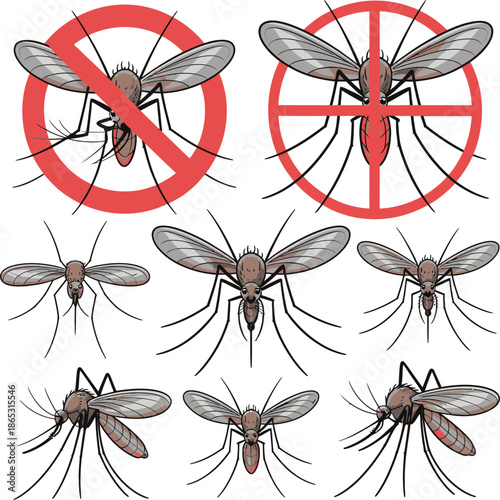 Mosquito illustrations with target symbols emphasize pest control elimination disease prevention and public health protection awareness