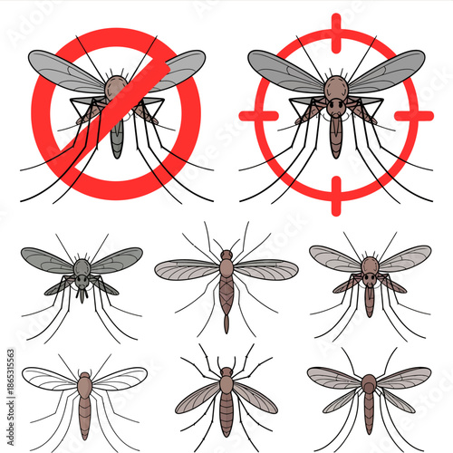 Mosquito illustrations with target symbols emphasize pest control elimination disease prevention and public health protection awareness