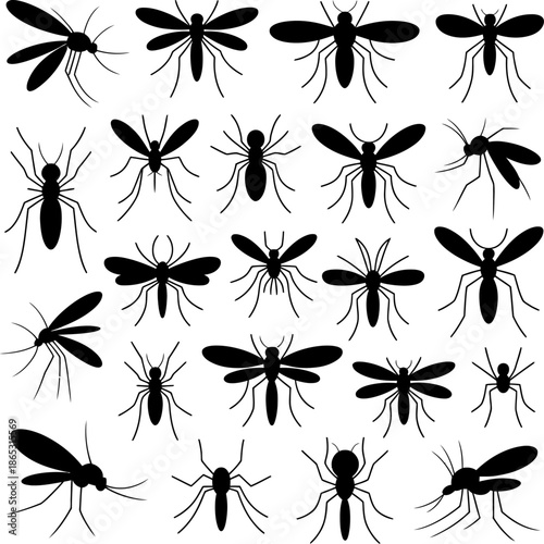 Collection of mosquito silhouettes in varied poses illustrates insect anatomy infestation risk disease vectors and pest awareness