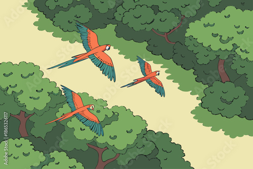 Three Colorful Macaws Flying Over Lush Green Forest Canopy