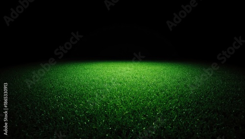High-resolution green grass pattern used as a background for editorial headers, Earth Day