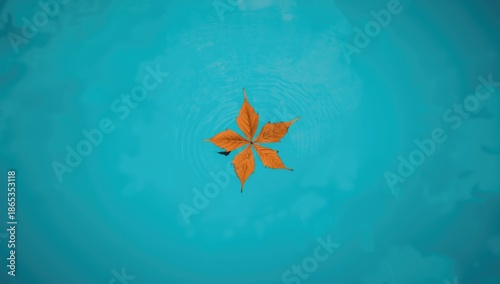 Brown autumn leaf with five...