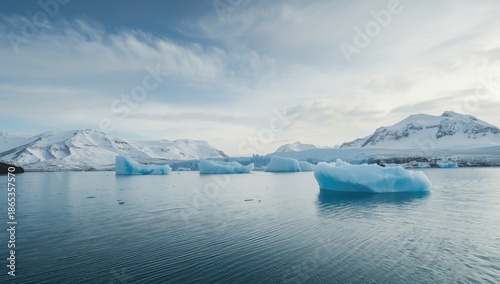 Icebergs drifting in a sout...