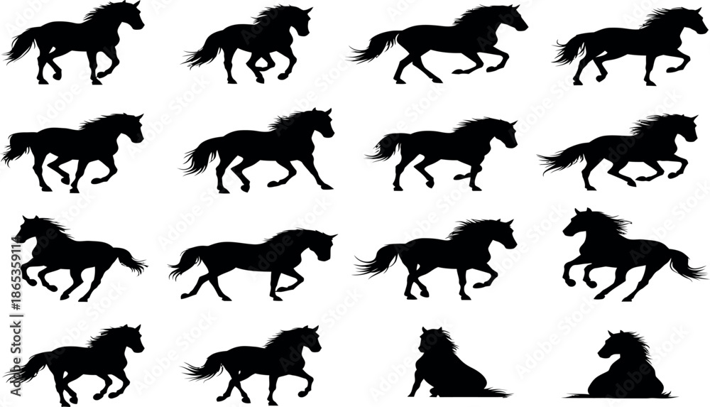 Obraz premium Collection of 15 black horse silhouettes in various running and standing poses on white background