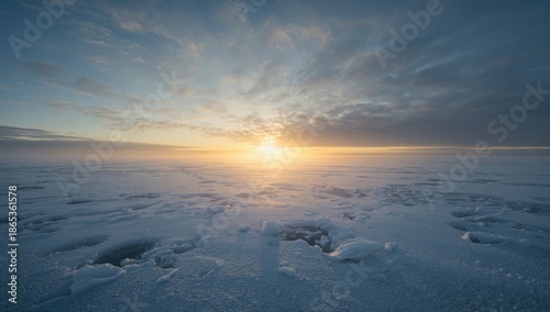 Snow-covered ground and icy...