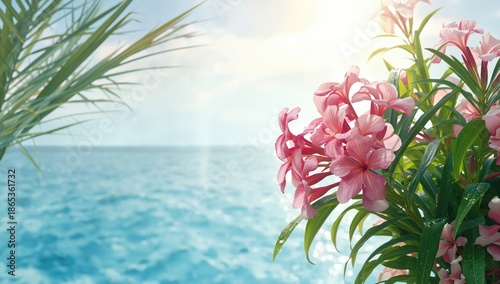 Oleander flowers in bloom, ...