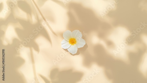 Summer scene with blank are...