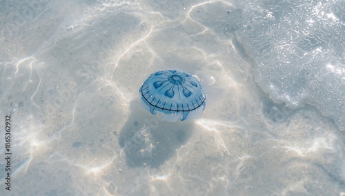 Close-up of a blue button j...