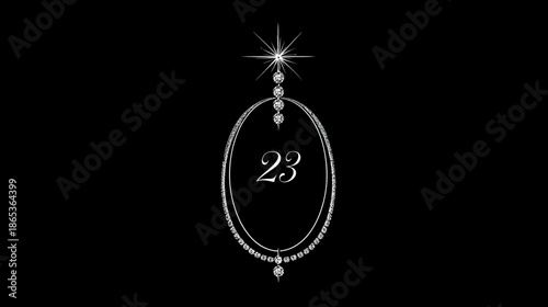 Elegant sparkling silver oval frame with number 23 on a black background, luxurious diamond-like decorative design.
