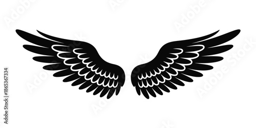 Elegant angel wings vector illustration isolated on white background, Vector, illustration