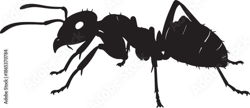 Black Silhouette of an Ant with Prominent Mandibles and Antennae also transparent background white insect