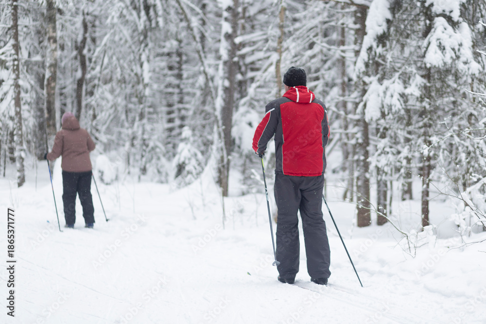 Obraz premium Cross-country skiing in winter