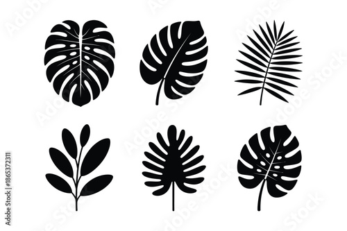 Tropical leaf silhouettes including monstera and palm