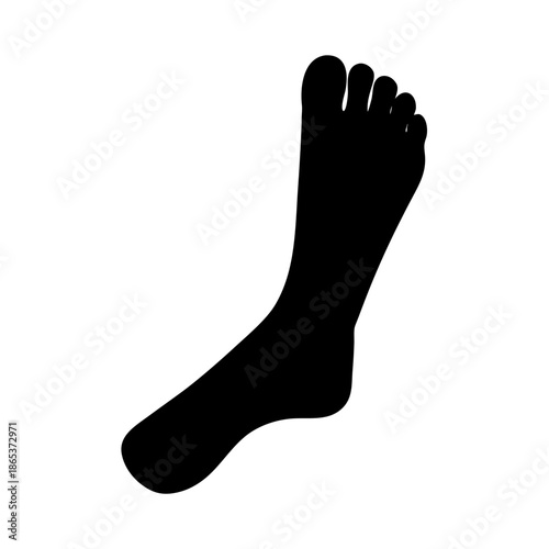 Silhouette of a human foot and lower leg on white background