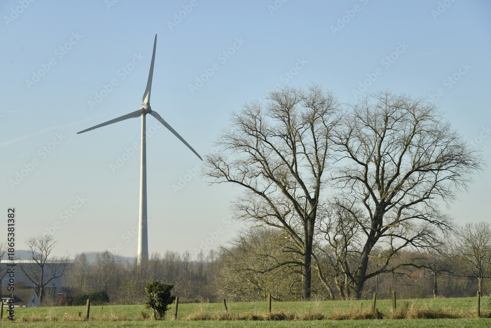 Fototapeta premium Éolienne dominant de haut un paysage rural de prairies et de bois à Ghislenghien (Ath) 