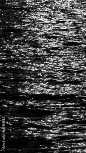 Black and White Rippling Water Surface — Dynamic Natural Motion. A high‑contrast black and white clip capturing natural rippling motion across a water surface. Perfect for b-rolls. 4K.