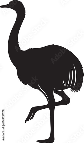 Ostrich Wildlife Silhouette Graphic Design