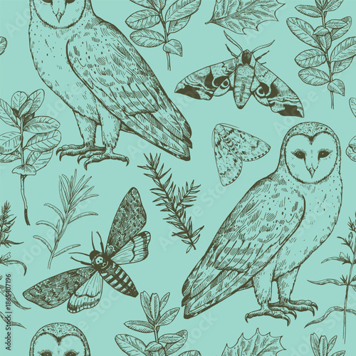 Seamless pattern with owls and moths. Magic forest print. Monochrome vector illustration in engraving style.