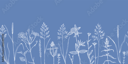Seamless border with meadow plants and wild cereals in sketchy hand-drawn style. Ink drawing, vector illustration.