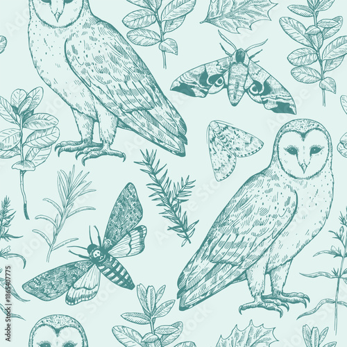 Seamless pattern with owls and moths. Magic forest print. Monochrome vector illustration in engraving style.