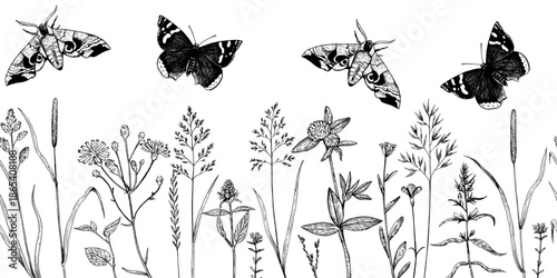 Seamless border with meadow plants, wild cereals and butterflies in sketchy hand-drawn style. Ink drawing, vector illustration.
