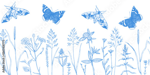 Seamless border with meadow plants, wild cereals and butterflies in sketchy hand-drawn style. Ink drawing, vector illustration.