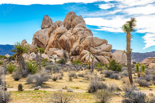 Photography Scenic Rocky Landscape at Hall of Horrors Trail