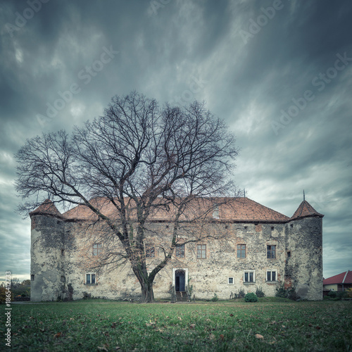 Wallpaper Mural view to old palace and tree with leaves in cloudy day with dramatic light in square frame Torontodigital.ca