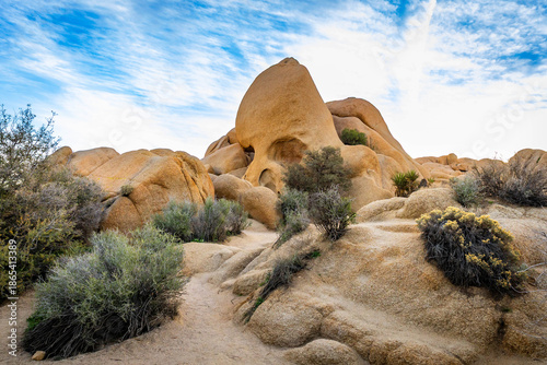Tableau sur toile Skull Rock at sunrise Joshua Tree National Park