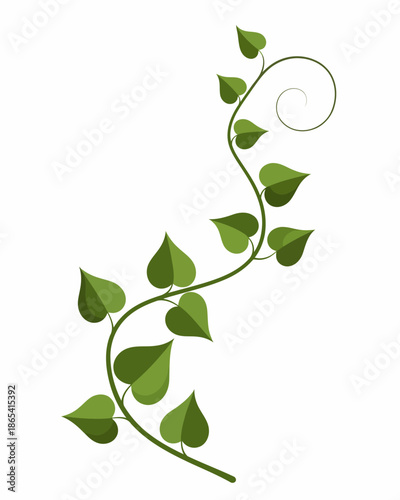 Elegant green vine with heart-shaped leaves and a delicate spiral at the top, symbolizing growth and nature's beauty in a simple, organic illustration