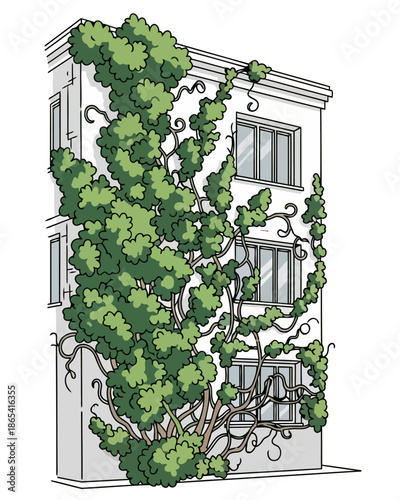 Lush Green Ivy Vines Climb and Twine Across the Exterior Facade of a White Residential Building, Creating a Natural and Verdant Urban Landscape