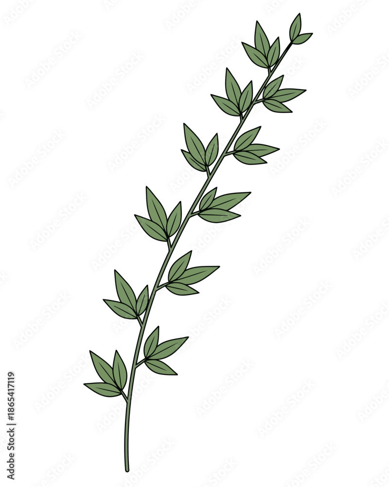 Fototapeta premium Stylized vector graphic illustrating a slender green plant branch adorned with fresh leaves, symbolizing natural growth, vitality, and organic beauty for contemporary designs