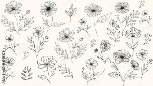 Set hand drawn curly grass and flowers