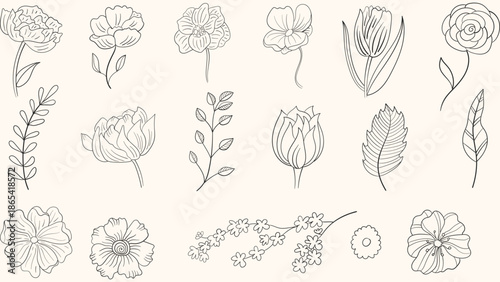 Set hand drawn curly grass and flowers