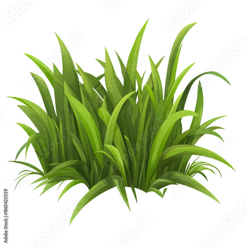 Realistic Green Grass Clump with Long Pointed Blades and Natural Growth Pattern on Transparent Background