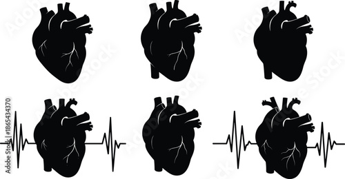Vector Set of Human Heart Silhouettes, Anatomy and Health Graphic Collection, With ECG Heartbeat Pulse Line, Black Isolated Icon for Medical Cardiology and Wellness Design.