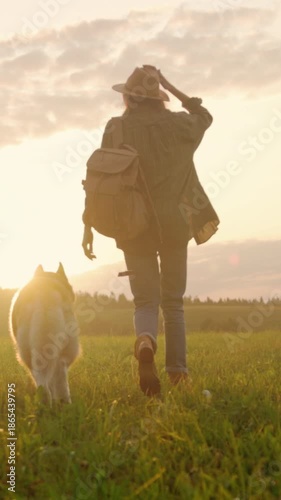 Golden evening walk with dog, Evening scene of person strolling through sunny meadow with canine companion
