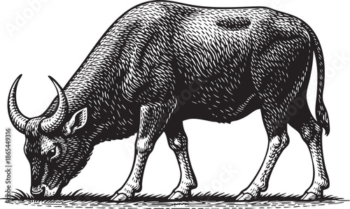 Antelope Grazing Linocut Etching Black and White Wildlife Illustration