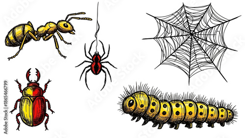 Detailed illustrations of various insects including an ant, spider, beetle, caterpillar, and a spiderweb.